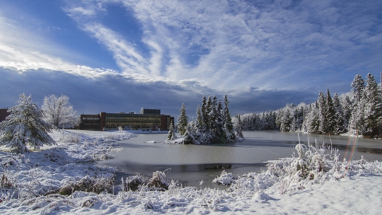 NU_Snowy_campus_01.jpg