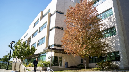 Outside of the University of Guelph-Humber building with a tree in fall orange colours.